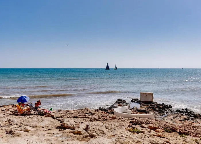Tamarindo Torrevieja